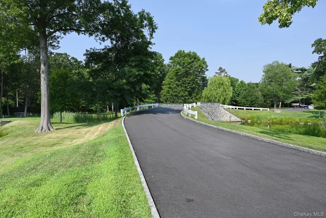 a view of a park with large trees