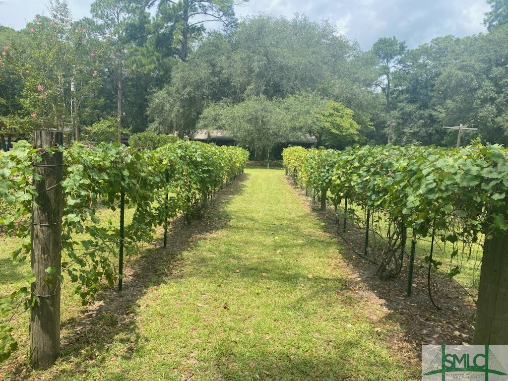 1165 Chimney Road Rincon, GA 31326 - Photo 3 of 9