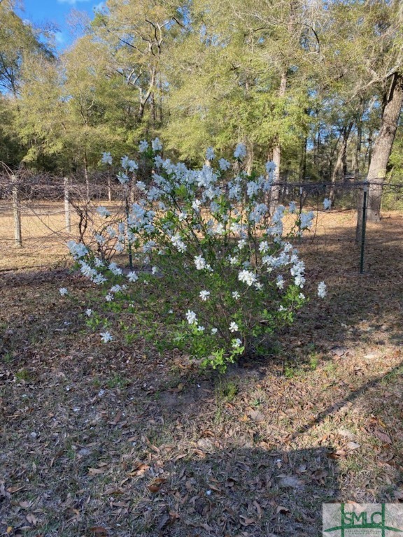 1165 Chimney Road Rincon, GA 31326 - Photo 6 of 9