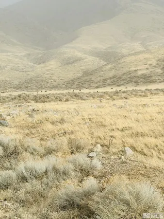 $34,500 | T29 Sec 15, Imlay, NV 89418