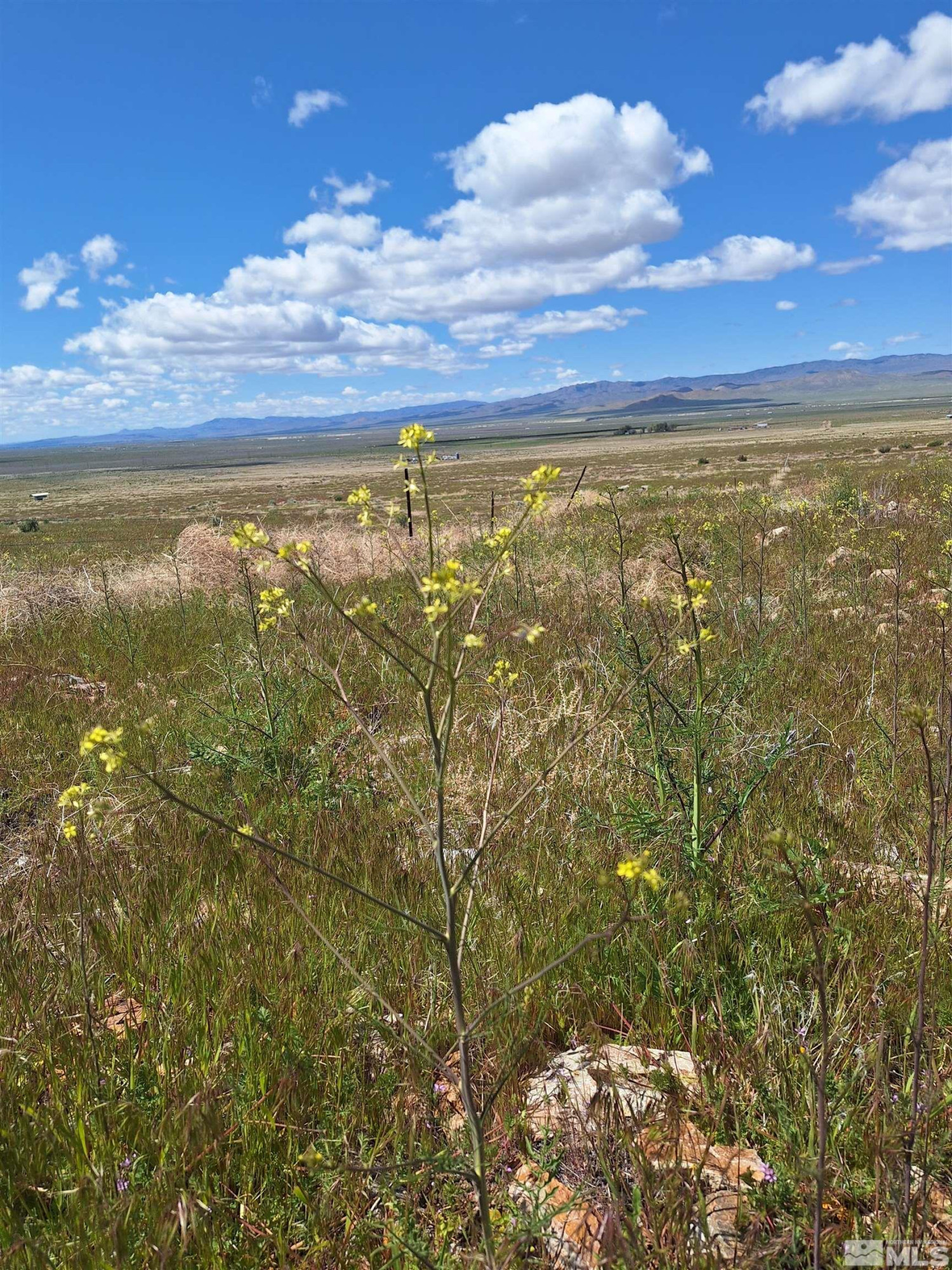 T29 Sec 15 Imlay, NV 89418 - Photo 4 of 11 a view of an ocean