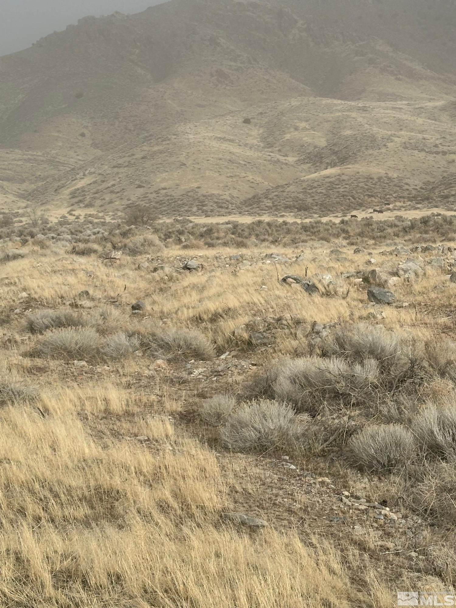 T29 Sec 15 Imlay, NV 89418 - Photo 6 of 11 a view of a ocean view