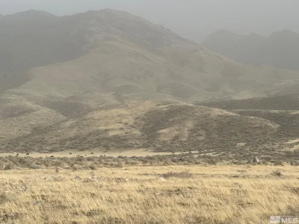 a view of a dry yard with mountains in the background