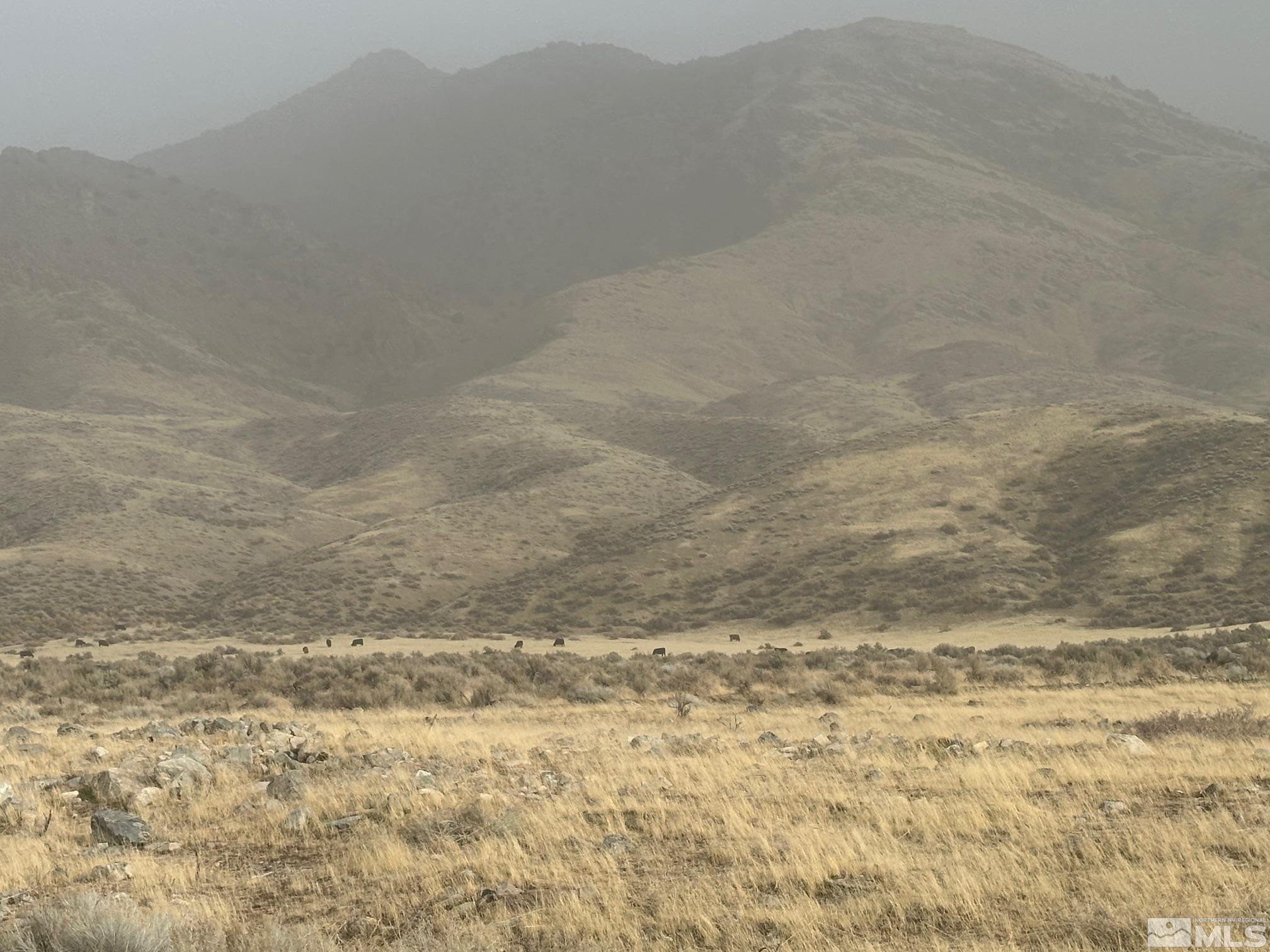 T29 Sec 15 Imlay, NV 89418 - Photo 10 of 11 a view of a dry yard with mountains in the background
