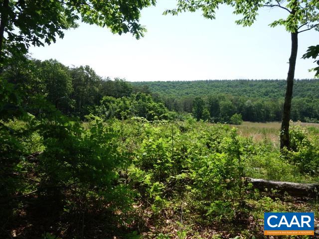 Tbd Keys Church Road Wingina, VA 24599 - Photo 4 of 24 Gallery Image 4