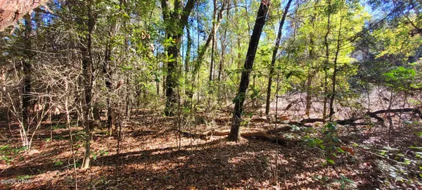 $79,999 | Lot 1 Oscar Road, Greenwood, FL 32443