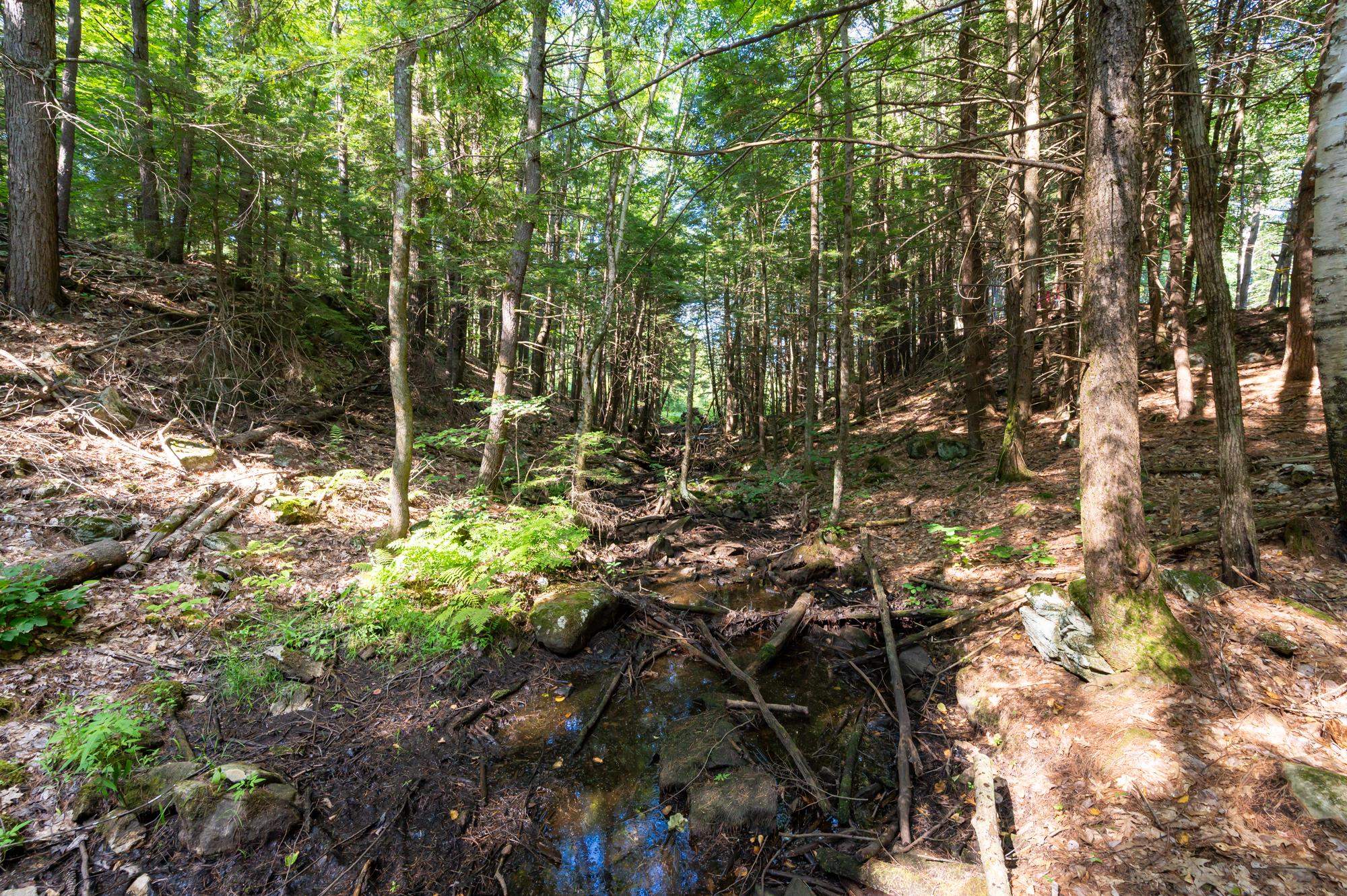 42 Twin Bridge Road Weare, NH 03281 - Photo 49 of 50