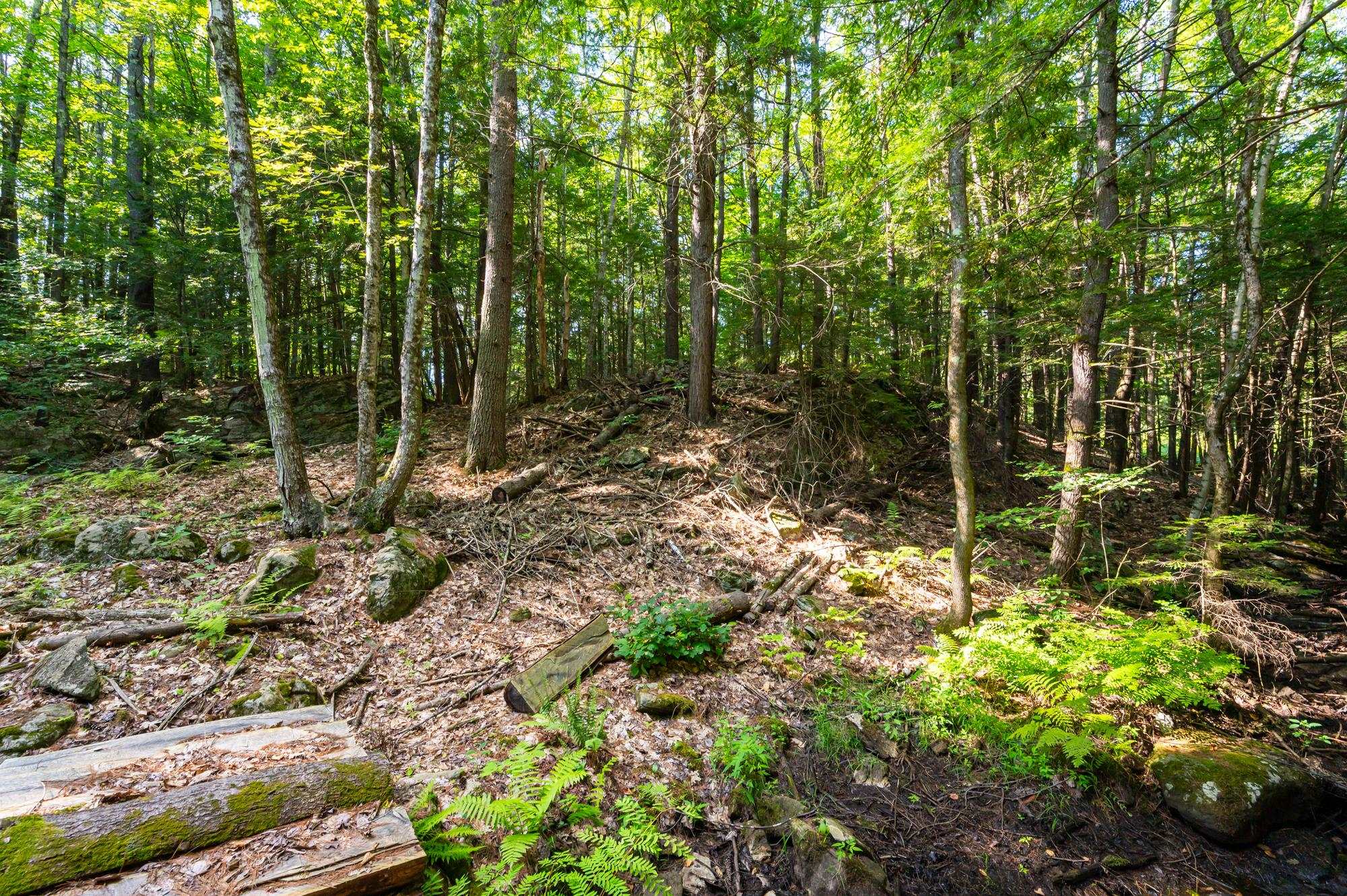 42 Twin Bridge Road Weare, NH 03281 - Photo 50 of 50