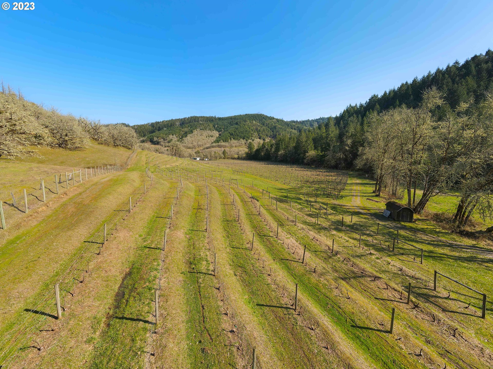 375 Porter Creek Road Winston, OR 97496 - Photo 15 of 41