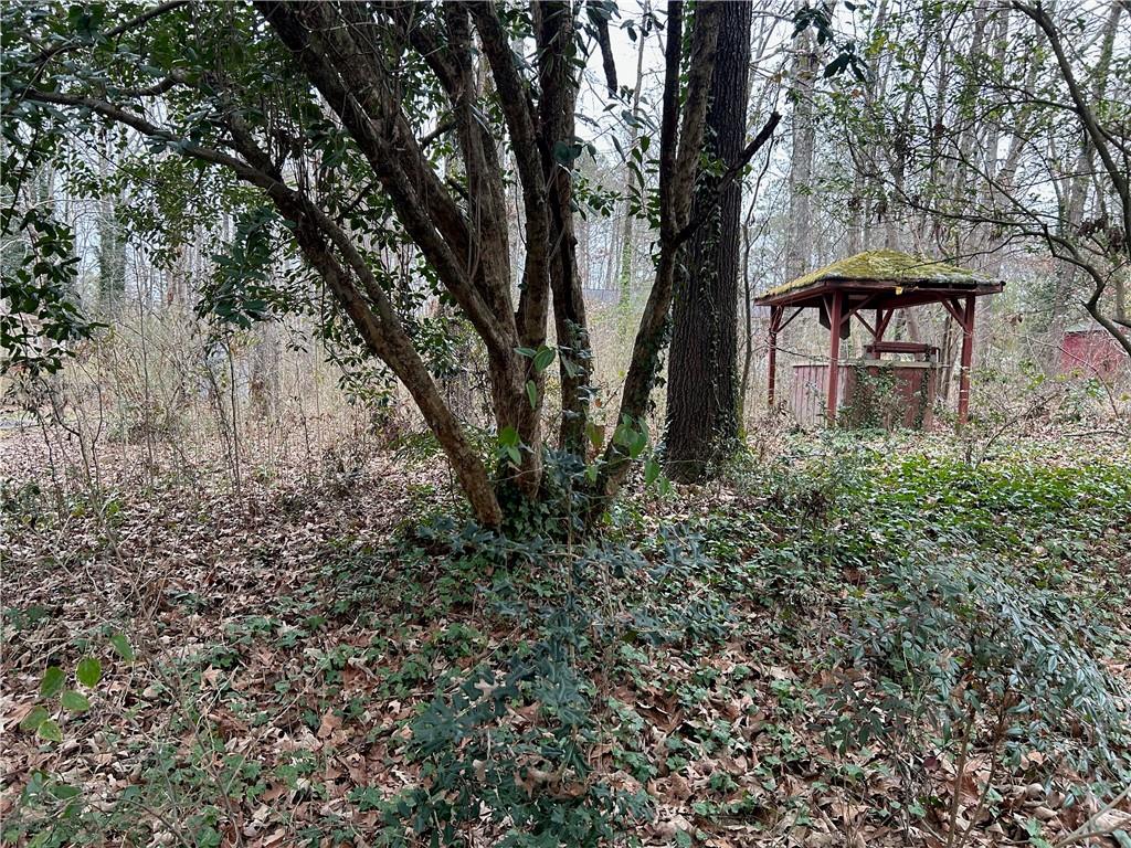 0 Oakview Drive Stockbridge, GA 30281 - Photo 4 of 6 a backyard of a house with table and chairs