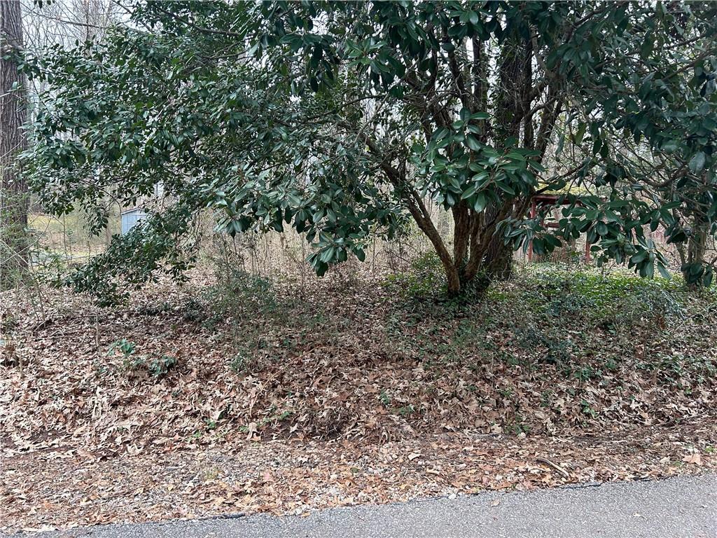 0 Oakview Drive Stockbridge, GA 30281 - Photo 6 of 6 a view of a yard