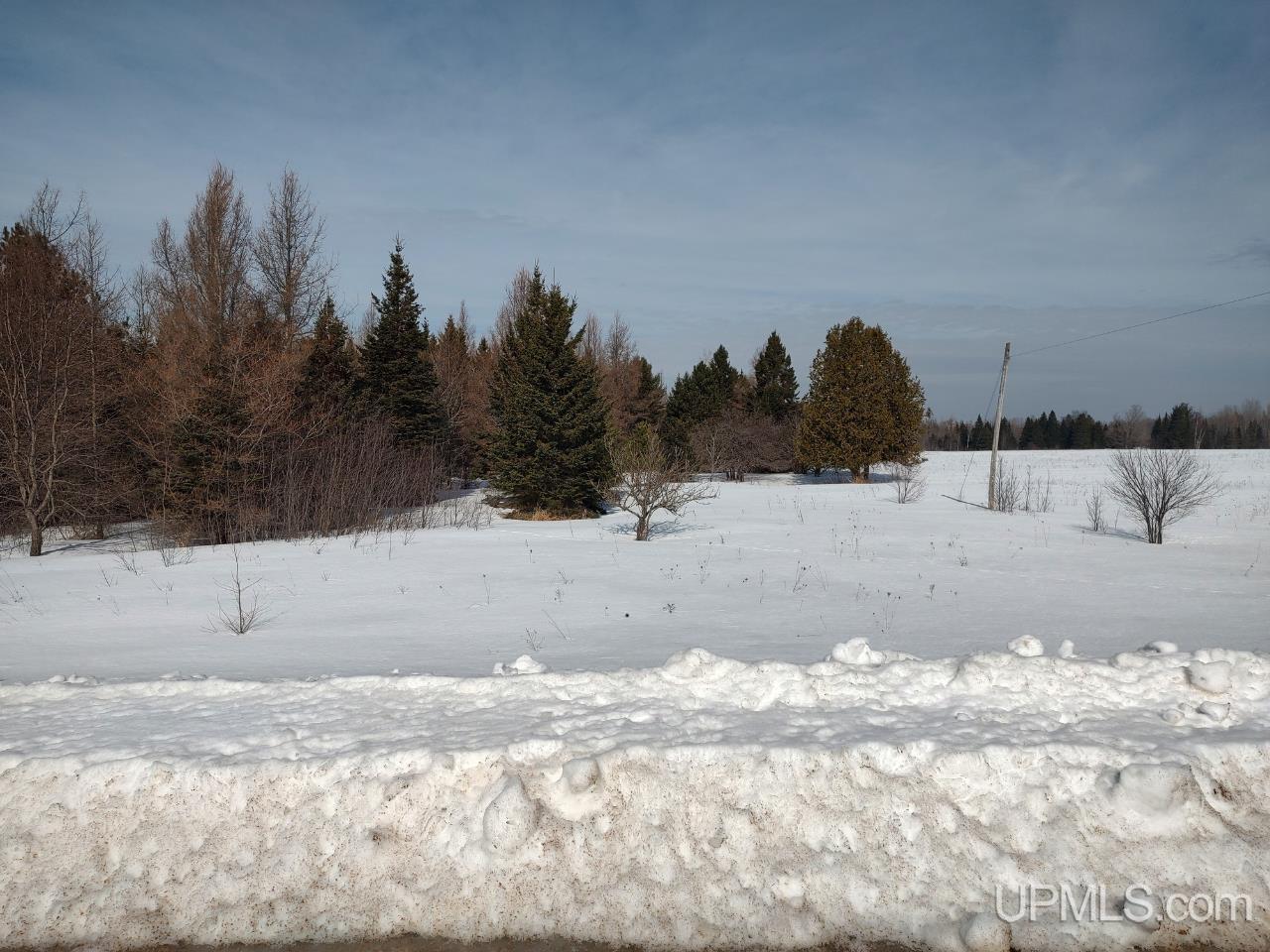 E 80-acres River Road Gulliver, MI 49840 - Photo 4 of 20