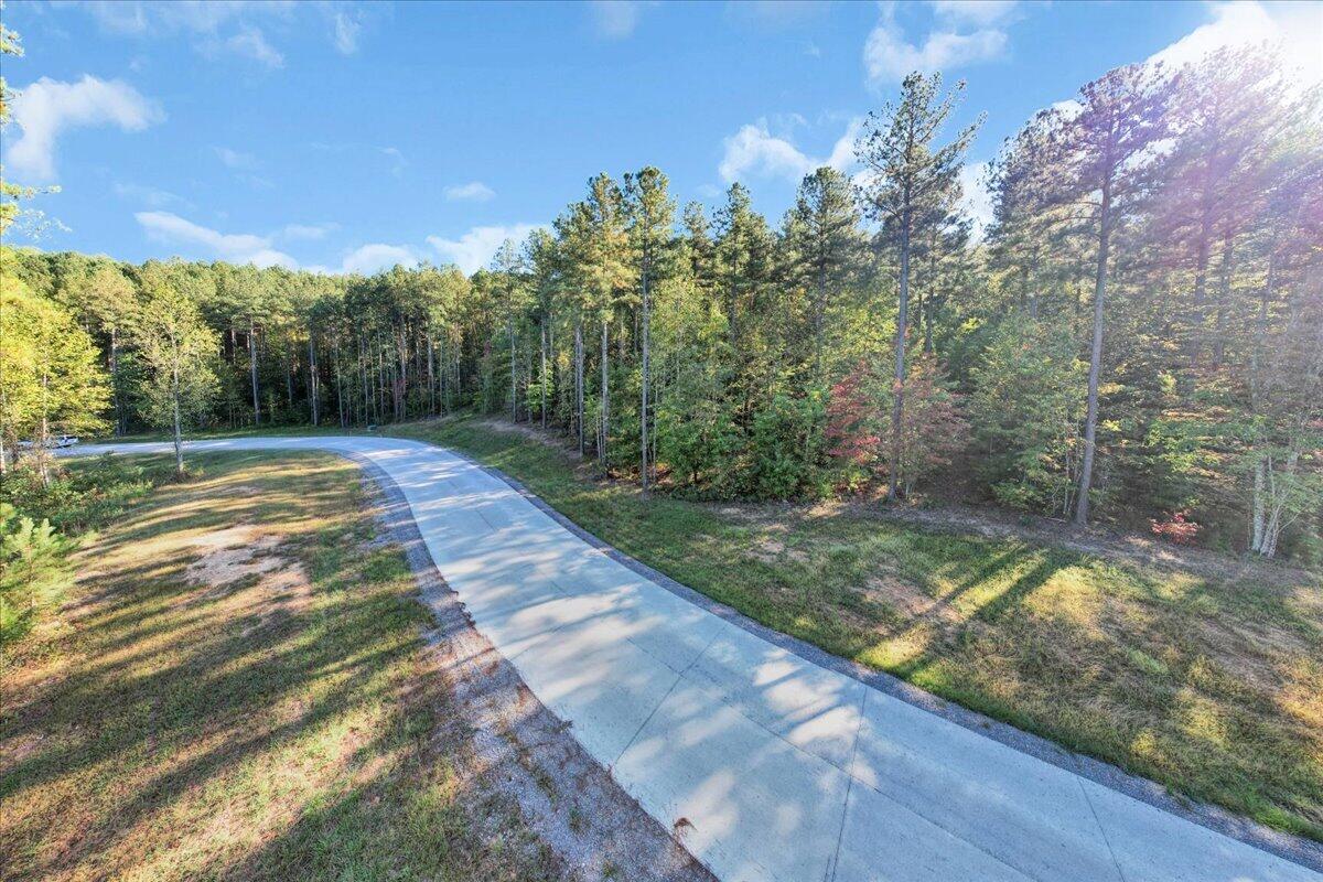 0 Birds Eye Way, Unit 1102 Guild, TN 37340 - Photo 3 of 18 03-DJI_0843