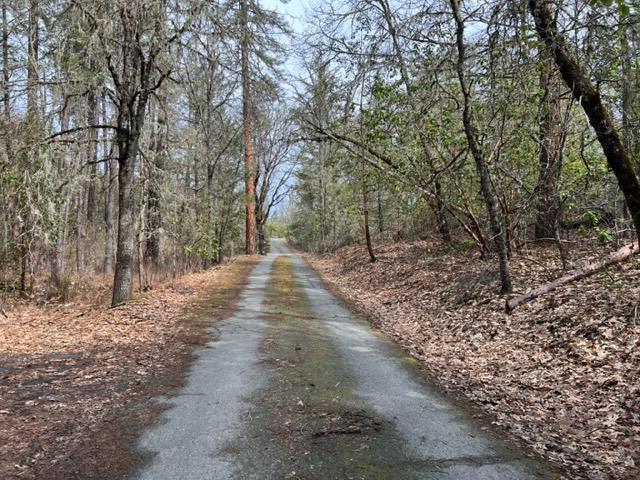 4196 East Evans Creek Road Rogue River, OR 97537 - Photo 32 of 36 a view of empty space with trees