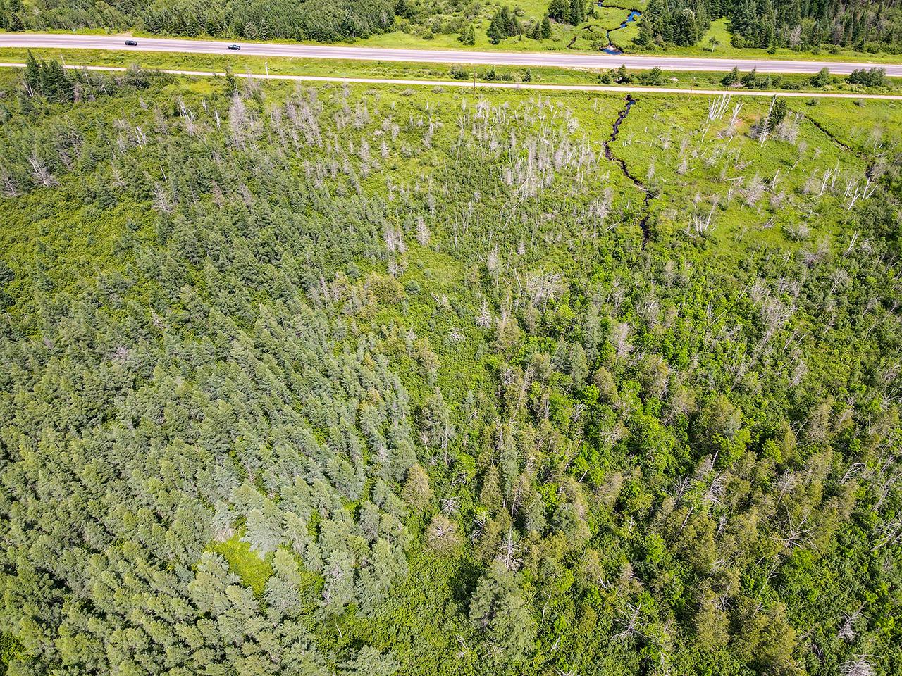 47 Rhinelander Wi 54543 Rhinelander, WI 54501 - Photo 29 of 44 Gallery Image 29