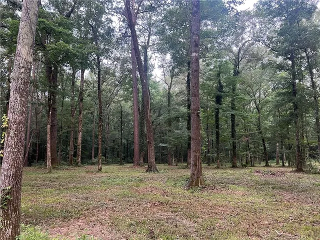 $64,250 | Tbd Hooper Road, Deville, LA 71328
