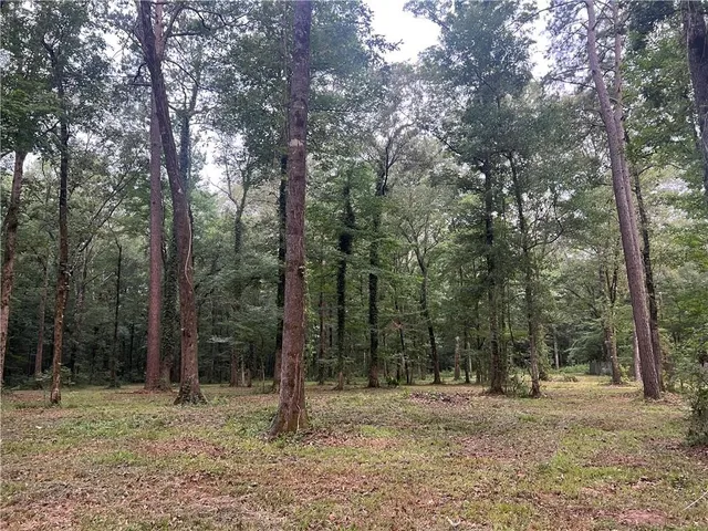 $64,250 | Tbd Hooper Road, Deville, LA 71328