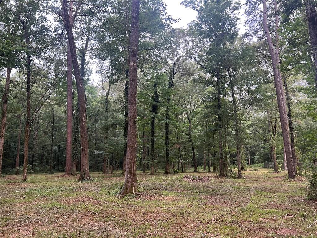 Tbd Hooper Road Deville, LA 71328 - Photo 2 of 8