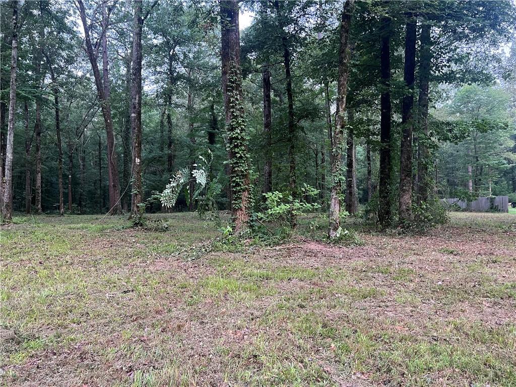 Tbd Hooper Road Deville, LA 71328 - Photo 3 of 8