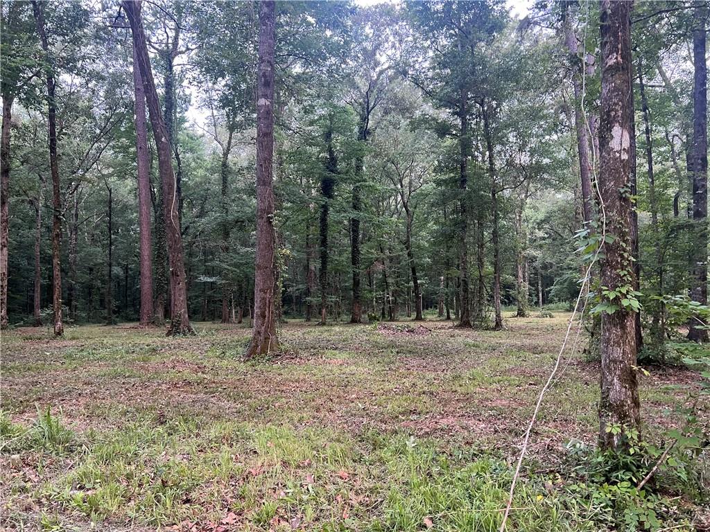 Tbd Hooper Road Deville, LA 71328 - Photo 4 of 8