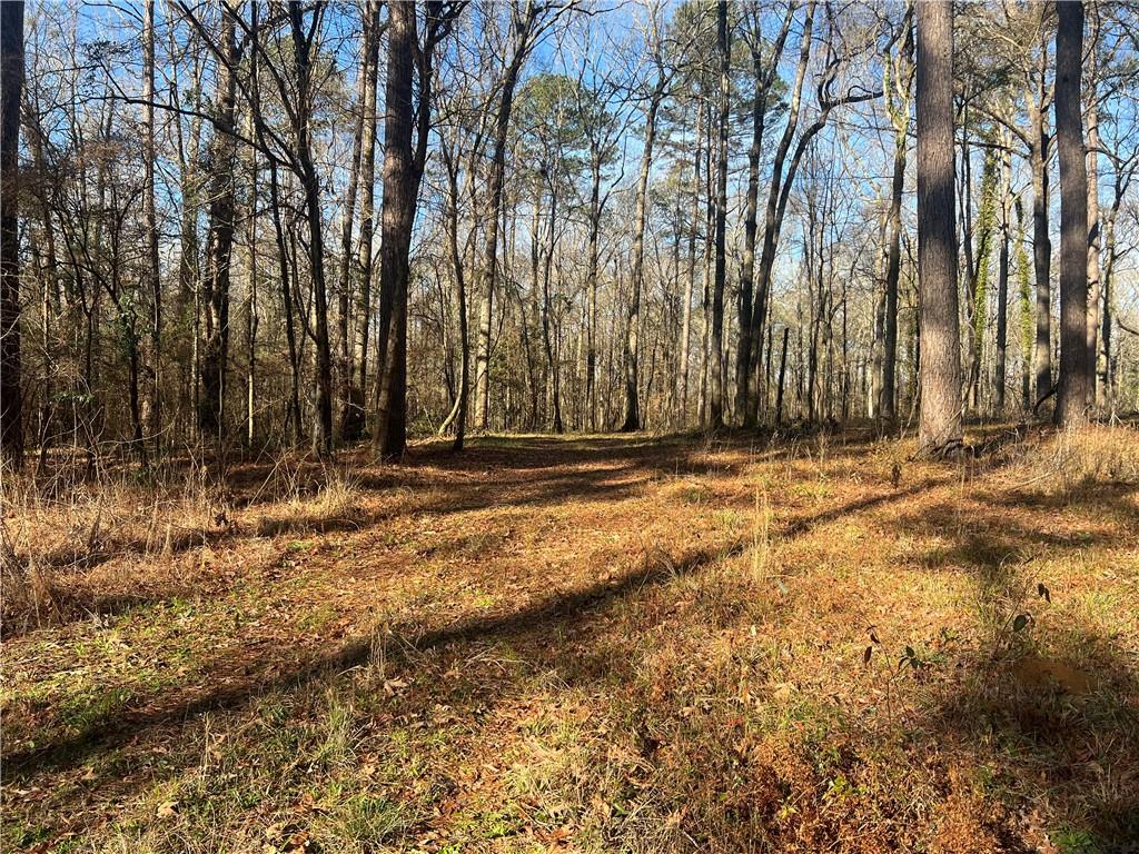 Tbd Hooper Road Deville, LA 71328 - Photo 6 of 8