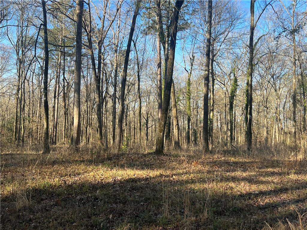 Tbd Hooper Road Deville, LA 71328 - Photo 7 of 8