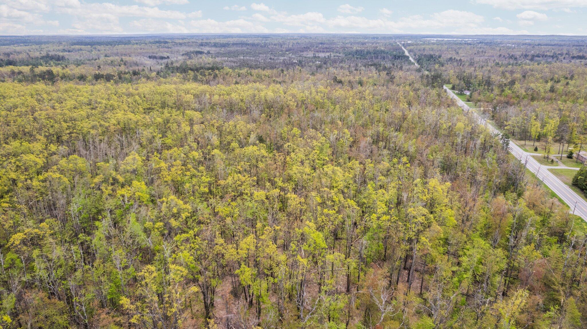 491 Co Road Lewiston, MI 49756 - Photo 9 of 14 Gallery Image 9