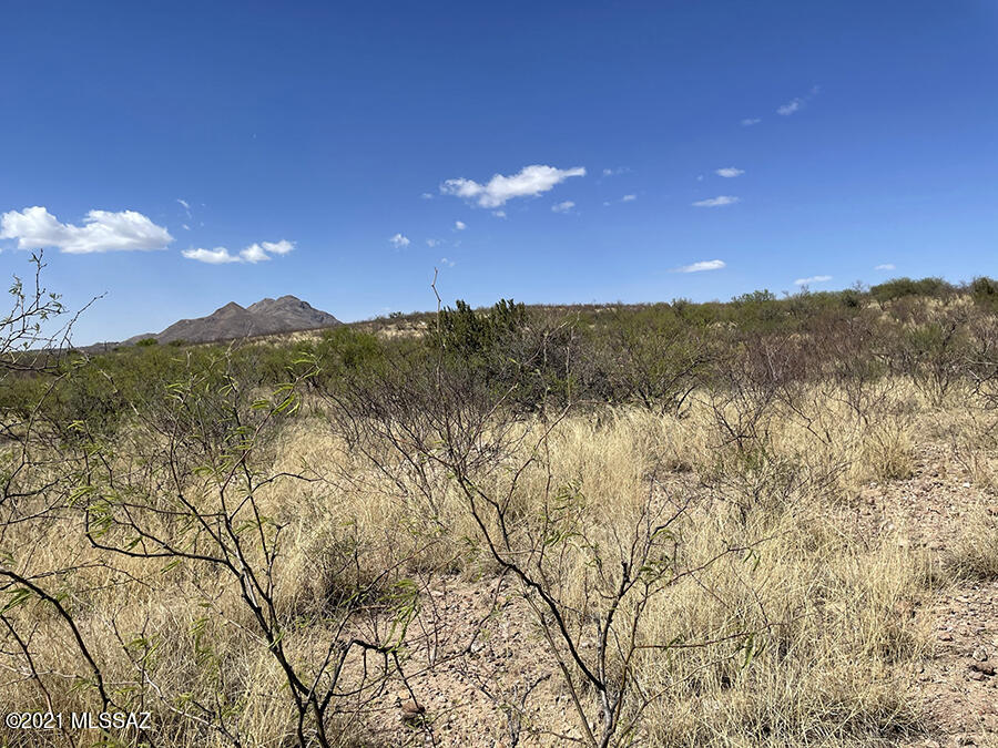 1049 Calle Magdalena, Unit 3 Rio Rico, AZ 85648 - Photo 1 of 4