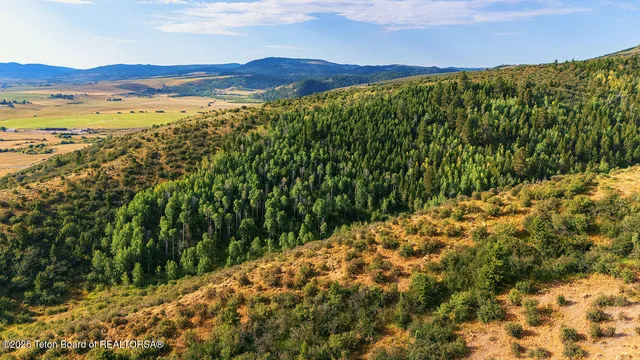 $595,000 | 18.25 County Road 141, Afton, WY 83110