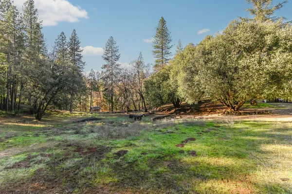 $380,880 | 17534 Humbug Creek Road, Glencoe, CA 95232
