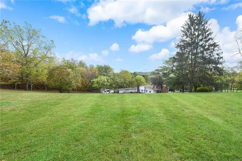 a view of a field of grass and trees