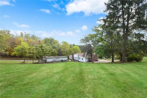 a view of a yard with large trees