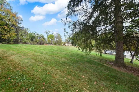 a view of a trees with a yard