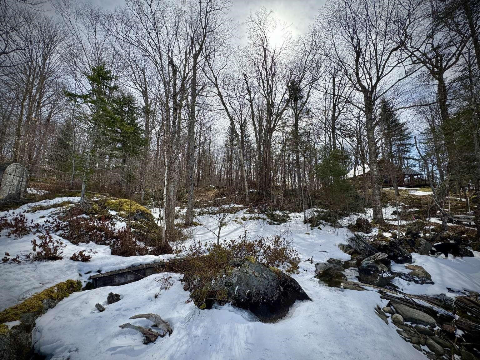 1744 Peacham Pond Road Groton, VT 05046 - Photo 11 of 12
