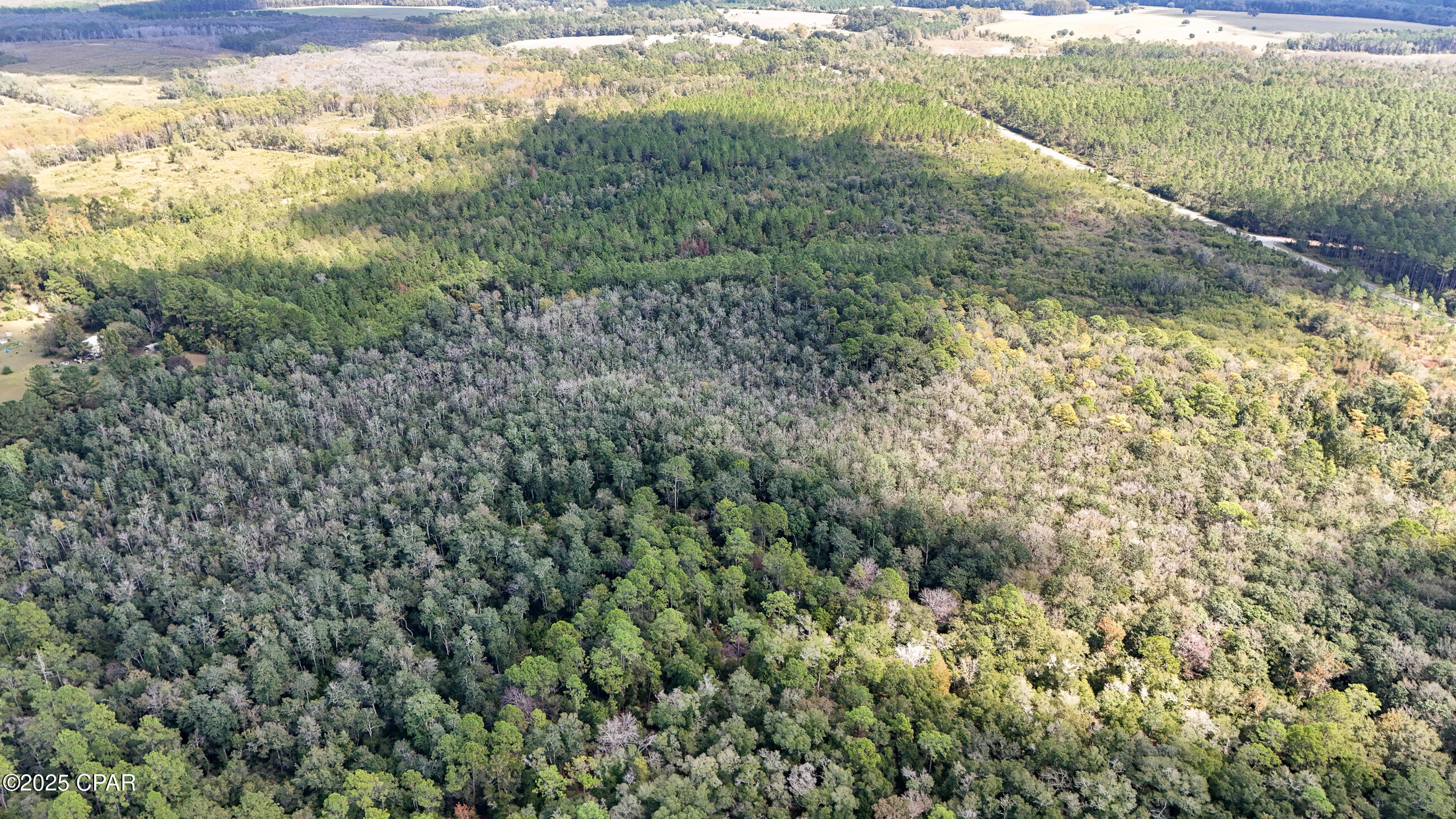 0 Douglas Ferry Road Bonifay, FL 32425 - Photo 13 of 26 Gallery Image 13