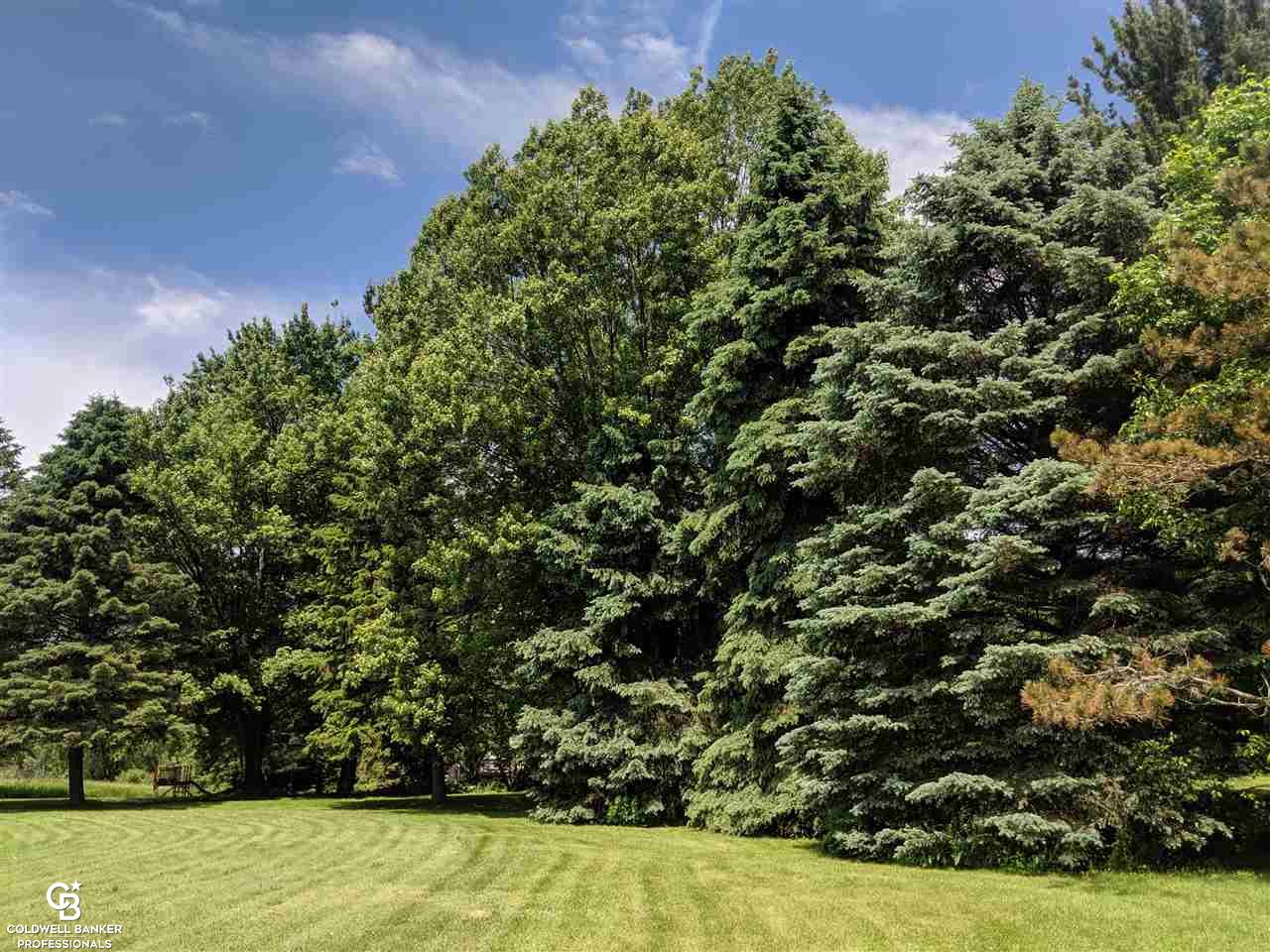12901 Yale Road Yale, MI 48097 - Photo 44 of 45