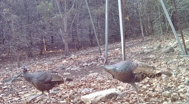 $559,000 | 825 Valley Vista Road, Tarpley, TX 78883