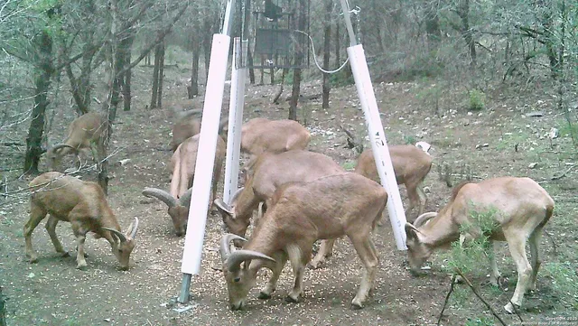 $559,000 | 825 Valley Vista Road, Tarpley, TX 78883