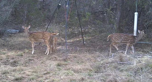 $559,000 | 825 Valley Vista Road, Tarpley, TX 78883