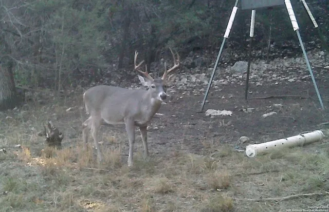 $559,000 | 825 Valley Vista Road, Tarpley, TX 78883