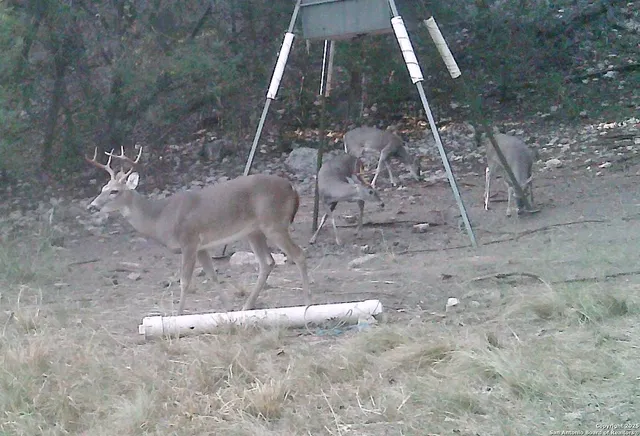 $559,000 | 825 Valley Vista Road, Tarpley, TX 78883