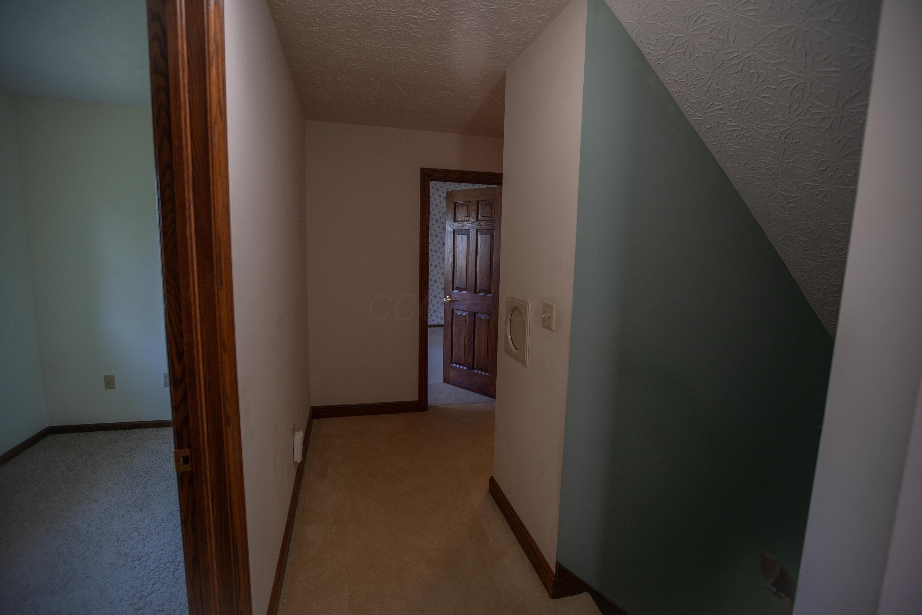 541 Willey Road Delaware, OH 43015 - Photo 37 of 56 DSC07007