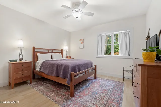 a garden with lots of trees