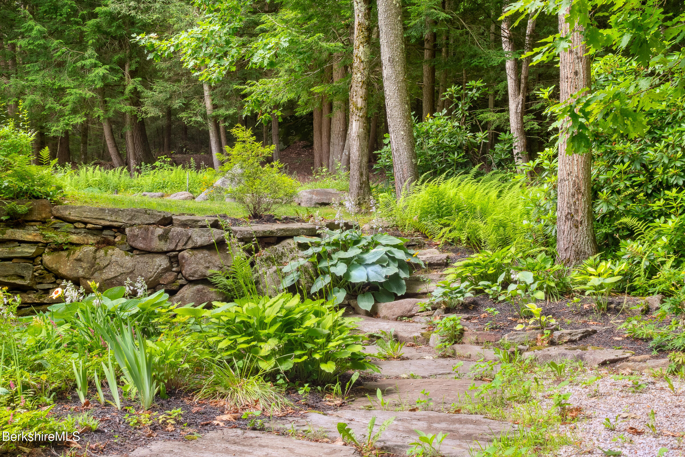 2017 Monterey Road Otis, MA 01255 - Photo 56 of 60 a view of a yard with plants and large trees