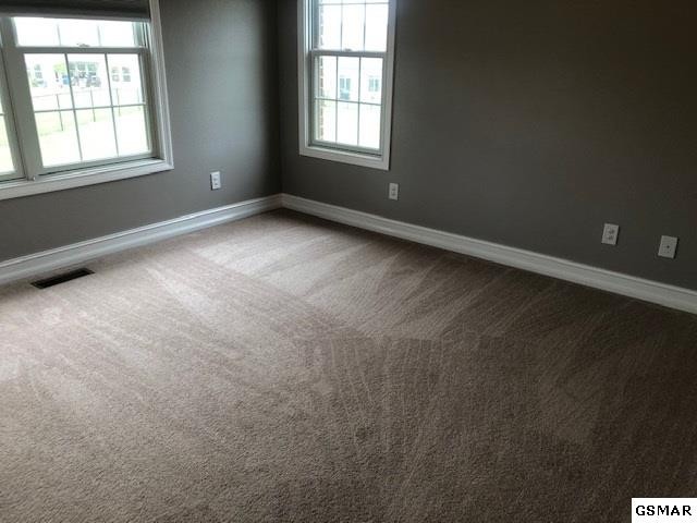 1256 Rippling Waters Circle Sevierville, TN 37876 - Photo 20 of 36 Gallery Image 20