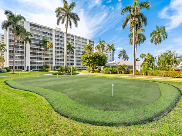 a view of a swimming pool with a plants and palm trees
