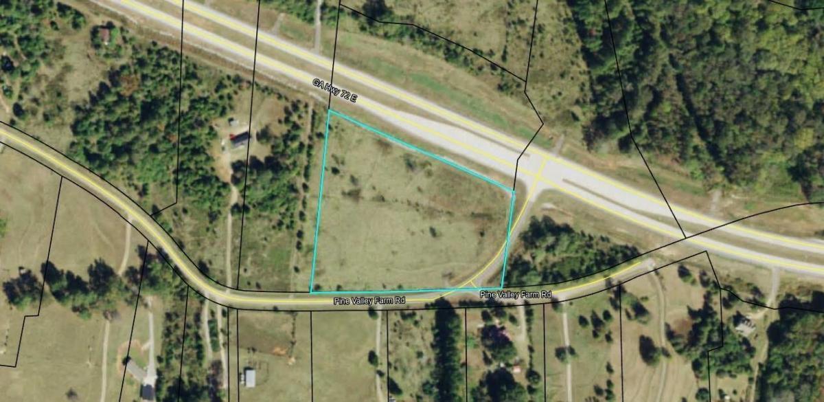 a view of a tree in a yard