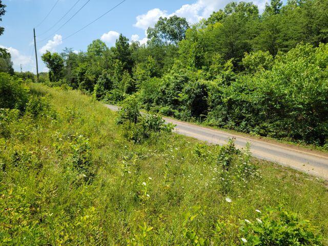 Tbd Tbd Greene Road Bulls Gap, TN 37711 - Photo 15 of 76 20210718160432017991000000-o