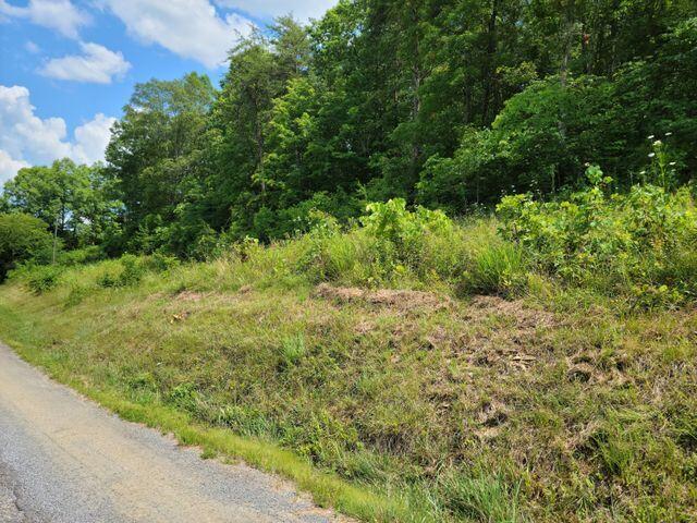 Tbd Tbd Greene Road Bulls Gap, TN 37711 - Photo 3 of 76 20210718160337711742000000-o