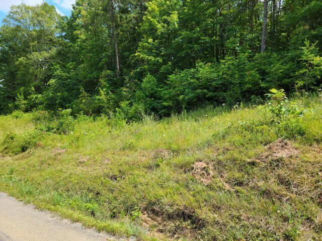 Tbd Tbd Greene Road Bulls Gap, TN 37711 - Photo 5 of 76 20210718160346970873000000-o